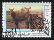Defassa Waterbuck