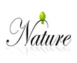 natura uccellini