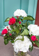 Bunch of peonies in vase
