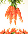 Foto: carottes carottes
