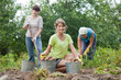  women harvested potatoes