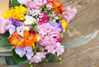 Frühlingsblumen