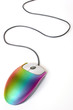 Rainbow Mouse