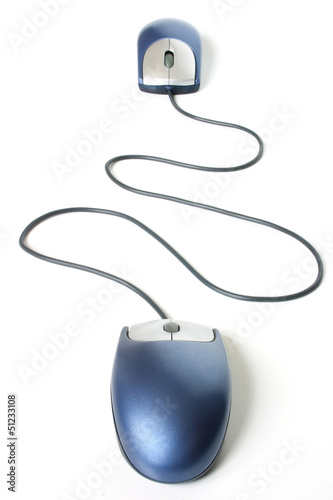 Photo: Blue Network Blue Network