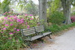 Photo: Panchine con azalea rosa Panchine con azalea rosa