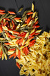 Variety of types and shapes of Italian pasta