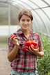  young gorl with tomato harvest