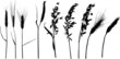 nine black cereals silhouettes on white