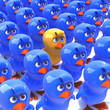 Little yellow chick stands out in crowd of bluebirds