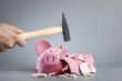 Robbing piggy bank with hammer