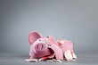 Robbed piggy bank