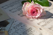 rosa Rose und antike Musiknoten