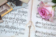 Rose, Musknoten und alte Fotografien