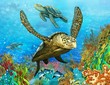 The coral reef - illustration for the children
