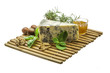 Dor blue cheese with herbs, nuts and honey