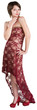 Sexy Lady in Long Dress
