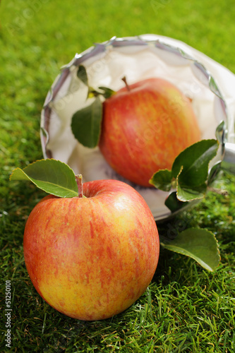 Photo: Freshly picked farm apple Freshly picked farm apple