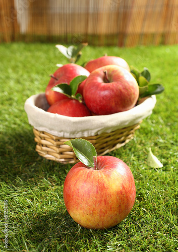 Photo: Fresh farm apples Fresh farm apples
