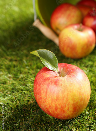 Photo: Delicious healthy fresh apple Delicious healthy fresh apple