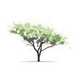 vector ink blots pine tree background