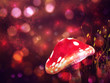 Magic mushroom
