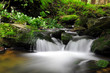 White creek - National park Sumava Czech Republic Europe