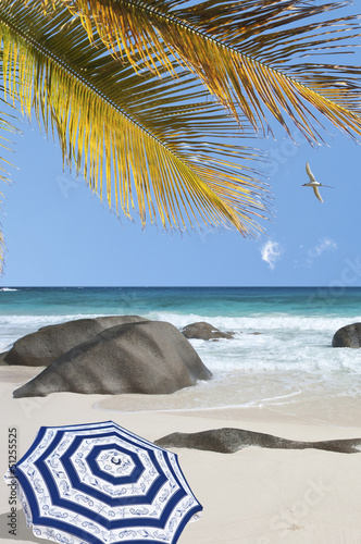 Photo: plage des Seychelles, sable blanc, rochers, cocotiers plage des Seychelles, sable blanc, rochers, cocotiers