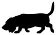 jagdhund silhouette