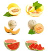 Melone