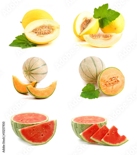 Photo: Melone Melone