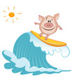 Cartoon pig Surfer