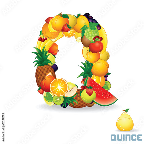 Vector: Vector Alphabet From Fruit. Letter Q Vector Alphabet From Fruit. Letter Q