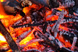 Embers glowing in blazing fire