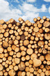 Pile of freshly cut lumber
