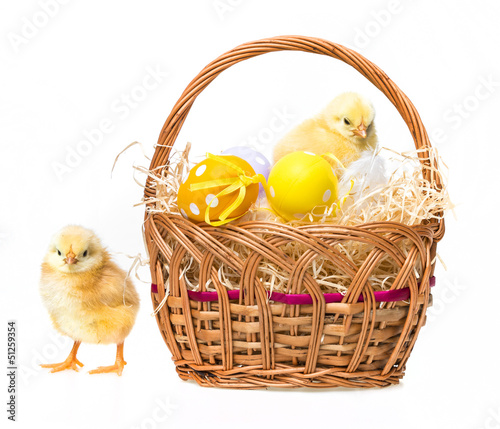 Photo: easter eggs in a basket and chickens easter eggs in a basket and chickens
