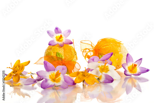 Photo: Easter eggs with crocuses Easter eggs with crocuses