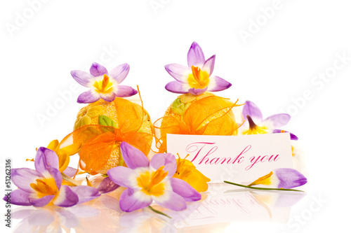 Photo: thanks and spring crocuses thanks and spring crocuses