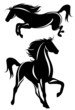 Vector: beautiful horses black and white design beautiful horses black and white design