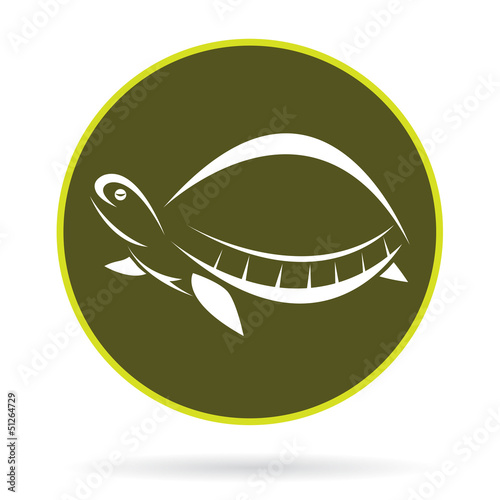 Vector: Vector image of an turtle , illustration - vector Vector image of an turtle , illustration - vector