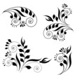 swirls design vector