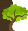 Tree illustration