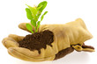 Concept Protection Nature, éc...