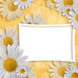 Card for invitation or congratulation on the abstract background