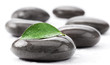 Stones spa whith citrus leaf.