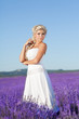 Beautiful Bride In Lavender Fi...