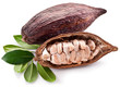 Photo: Cocoa pod Cocoa pod