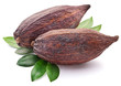 Cocoa pod