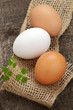 Eier