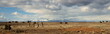 Colorado & The Rocky Mountains