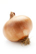 Onion